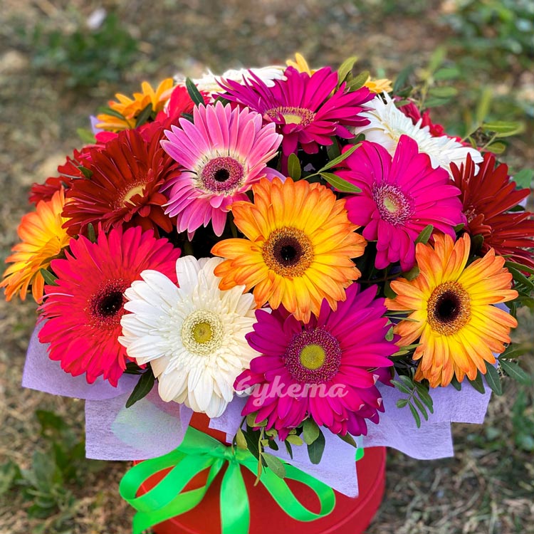 Герберы в шляпной коробке (на траве)