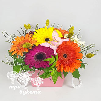 Разноцветные герберы в коробке