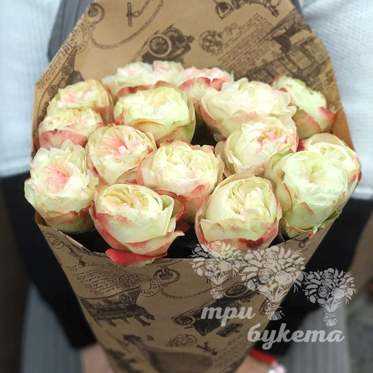 buket-iz-15-pionovidnyh-roz-3
