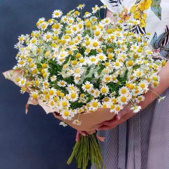 Букет из 23 ромашек в крафте Букет из 23 ромашек в крафте