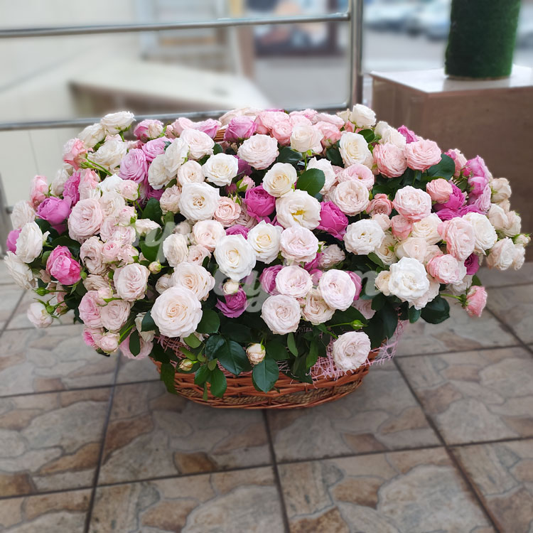 Корзина из 109 пионовидных роз (на улице)