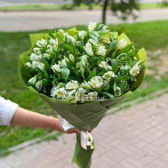 Зеленый букет из белых альстромерий Зеленый букет из белых альстромерий