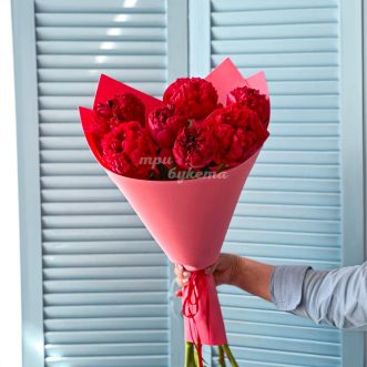 Букет из 7 пионов сорта Ред Шарм Букет из 7 пионов сорта Ред Шарм