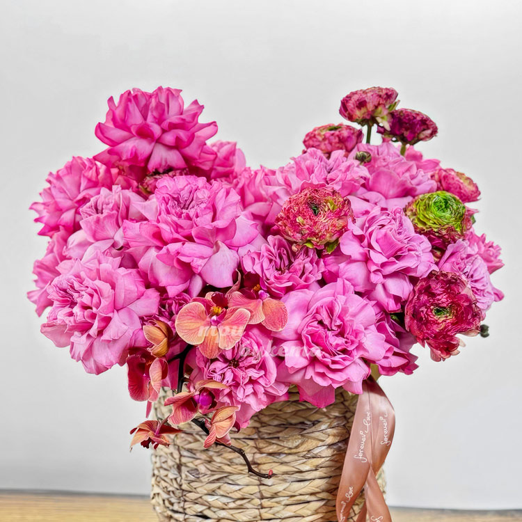 Ярко-розовые французские розы в кашпо (крупный план)